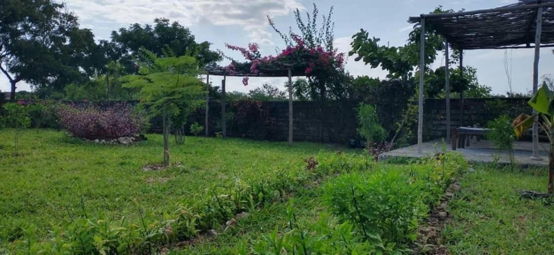Matemwe Ocean View Villas المظهر الخارجي الصورة