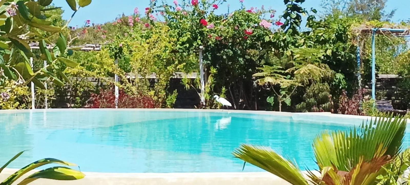 Matemwe Ocean View Villas المظهر الخارجي الصورة