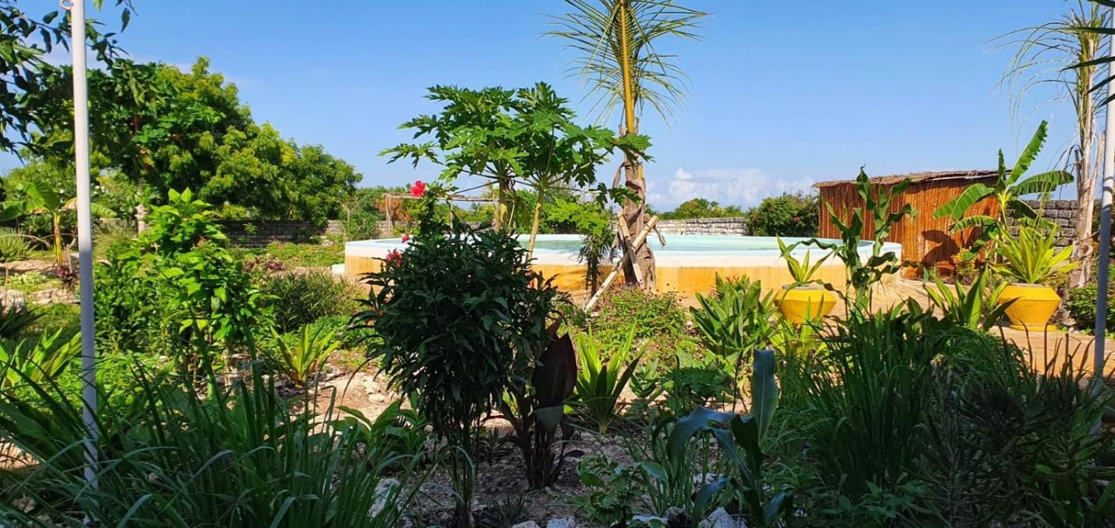 Matemwe Ocean View Villas المظهر الخارجي الصورة